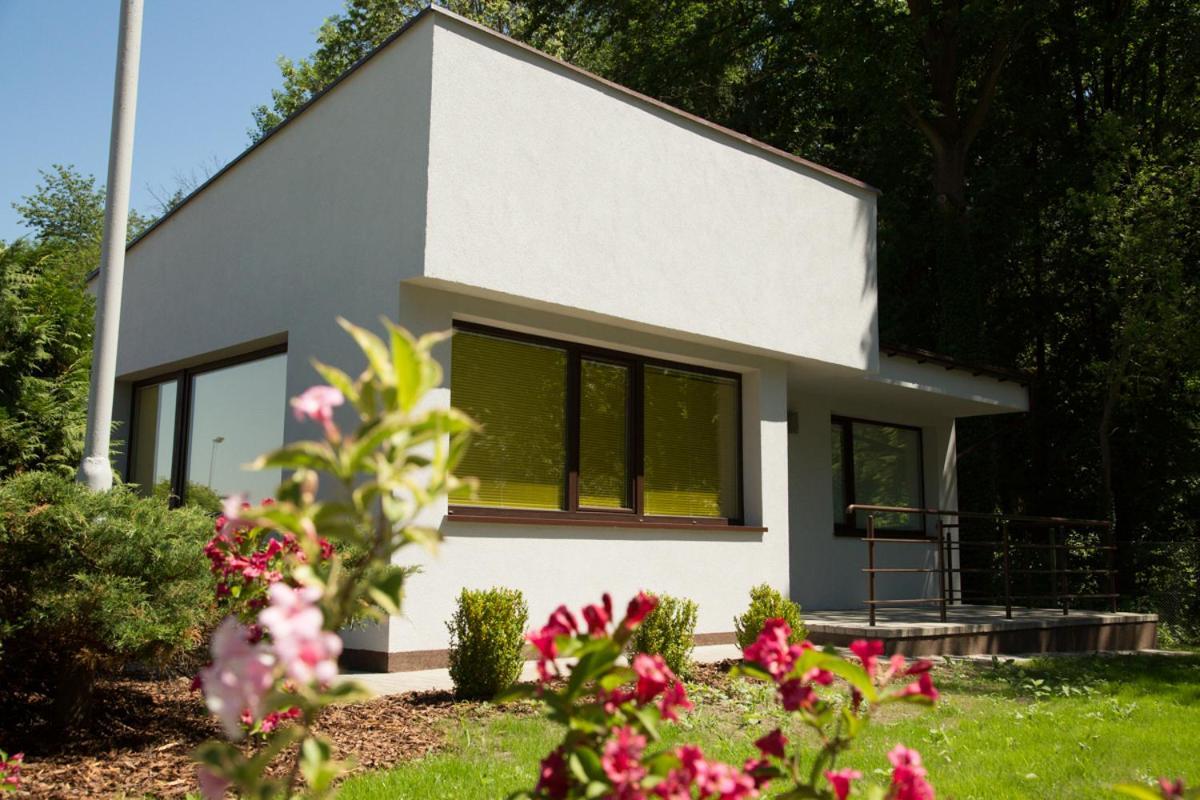 Camping Oaza Błonie Kórnik Domki Standard Plus - 3 pokoje Exterior foto
